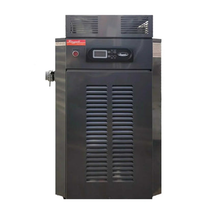 Rheem Raypak - Gas pool and spa heater [P0350A]